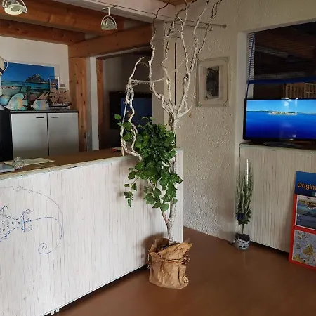 Appartement In With Garden Olbia