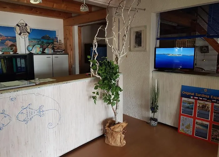 Apartment In With Garden Olbia